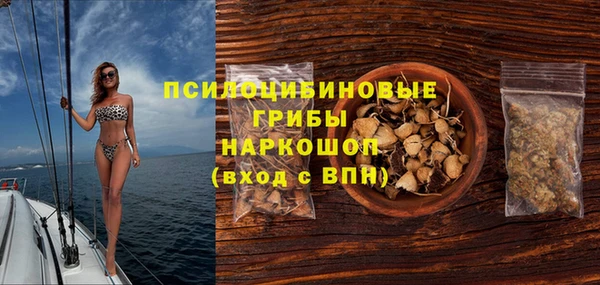 крисы Арсеньев